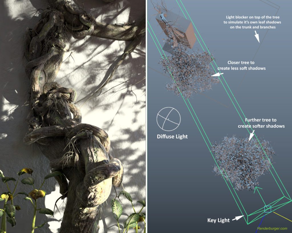 Thiết lập Leaf Shadows với V-Ray